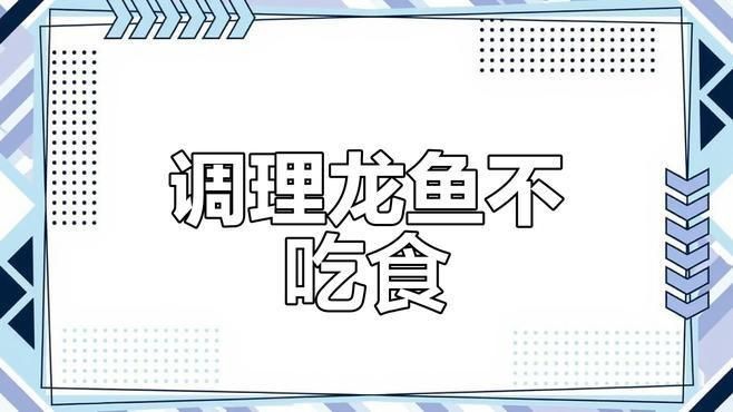龍魚水質(zhì)差會得病嗎 龍魚水質(zhì)差會得病嗎 龍魚百科 第7張