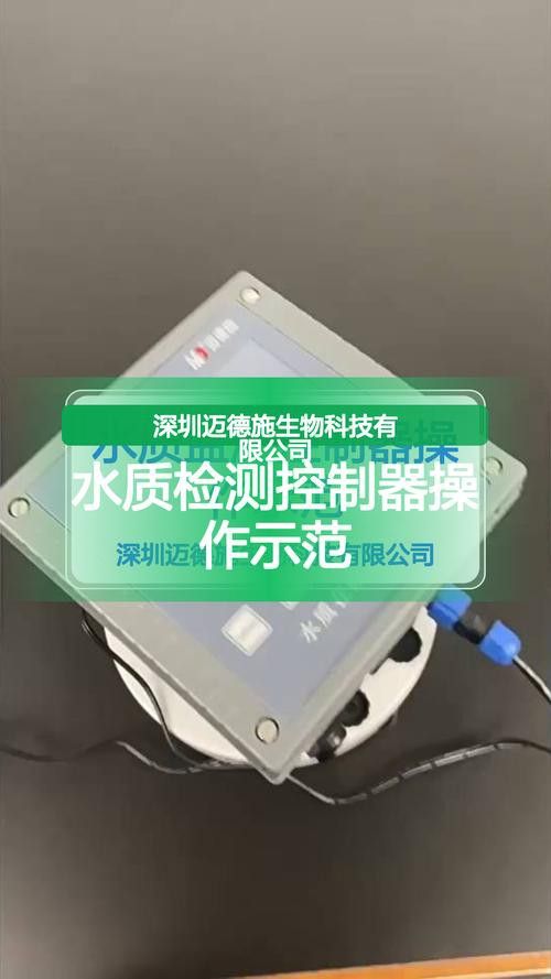 新手養(yǎng)銀龍魚教學(xué)方法圖片