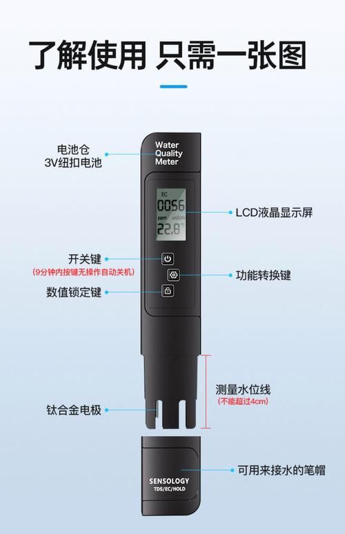 新手養(yǎng)銀龍魚教學(xué)方法圖片