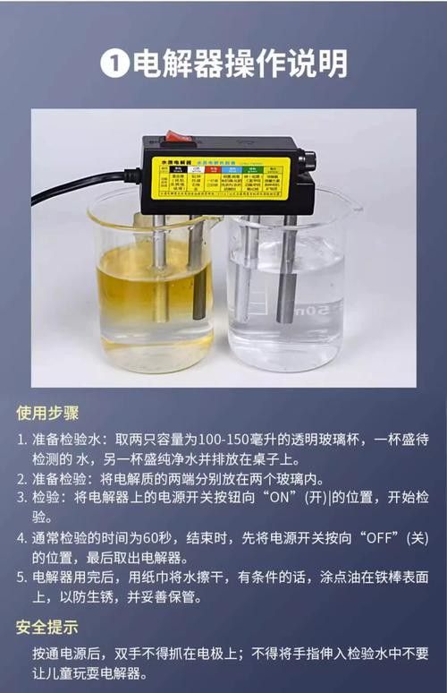 新手養(yǎng)銀龍魚教學(xué)方法圖片