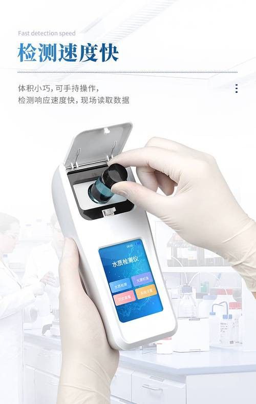 新手養(yǎng)銀龍魚教學(xué)方法圖片