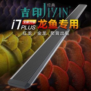 紅龍魚烤色發色燈什么時間開最好：紅龍魚發色燈每天開啟時間最好保持在6-8小時