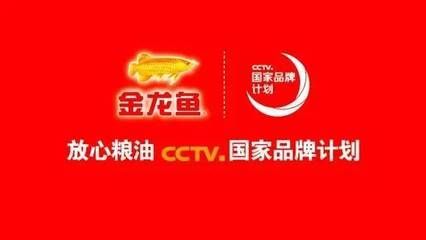 金龍魚國家品牌計劃（金龍魚國家品牌計劃是一項旨在提升品牌知名度和市場影響力的戰略項目）