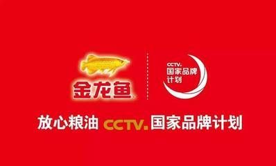 金龍魚國家品牌計劃（金龍魚國家品牌計劃是一項旨在提升品牌知名度和市場影響力的戰略項目）