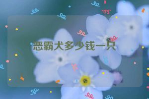 雷龍魚怎么訓(xùn)練兇狠性:如何判斷雷龍魚的兇狠性,雷龍魚咬缸技巧分享 龍魚百科 第3張 雷龍魚怎么訓(xùn)練兇狠性:如何判斷雷龍魚的兇狠性,雷龍魚咬缸技巧分享 雷龍魚怎么訓(xùn)練兇狠性:如何判斷雷龍魚的兇狠性,雷龍魚咬缸技巧分享 龍魚百科 第3張