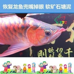 如何避免龍魚兜嘴：怎樣避免龍魚兜嘴
