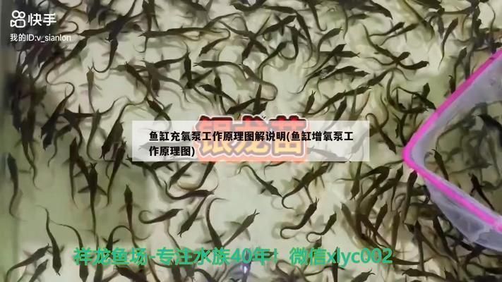 黑云魚養(yǎng)殖溶氧設(shè)備選擇，