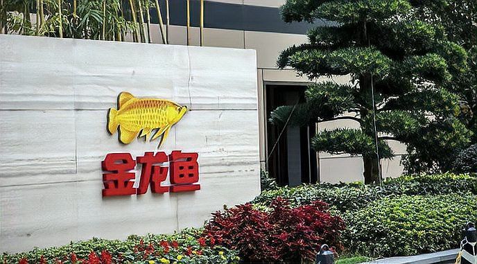 過(guò)背金龍魚(yú)的市場(chǎng)亂象有哪些？