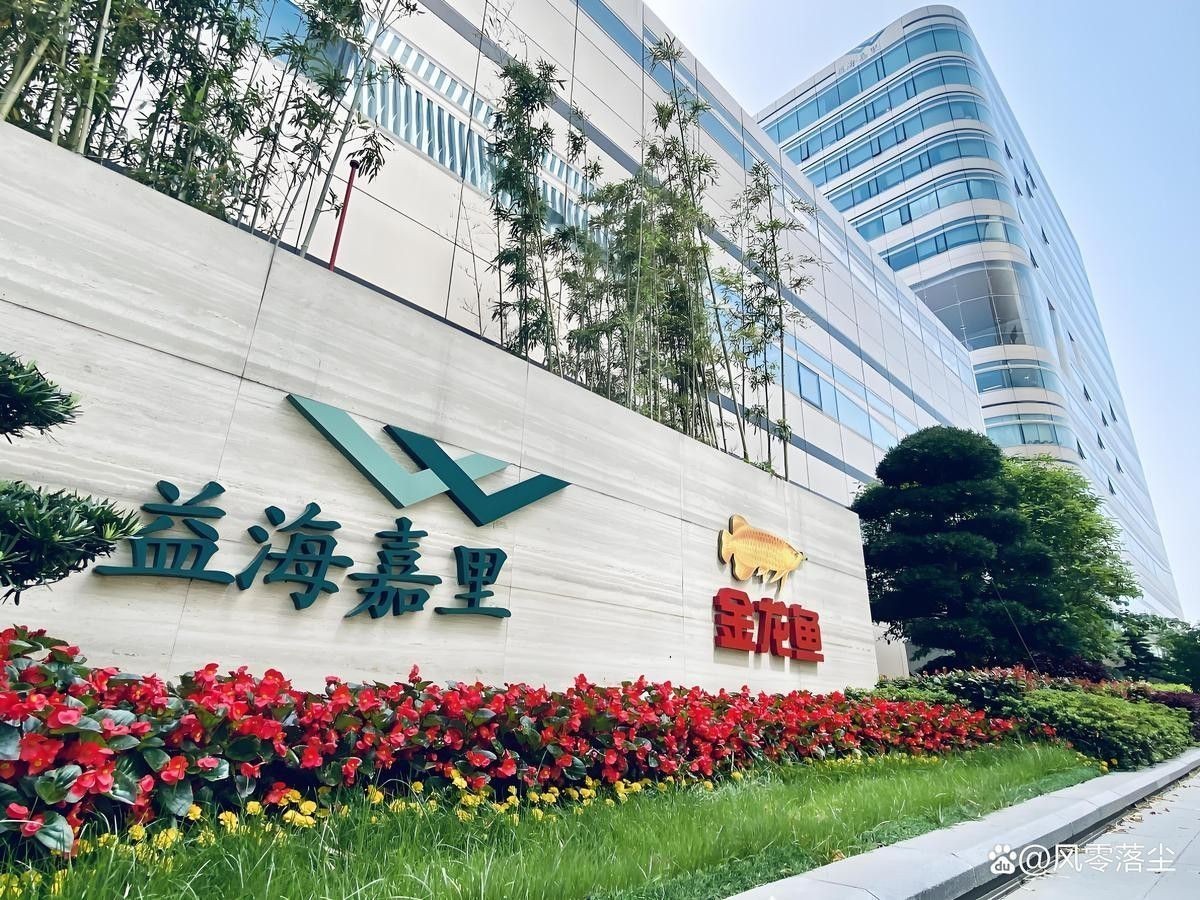 過(guò)背金龍魚(yú)的市場(chǎng)亂象有哪些？