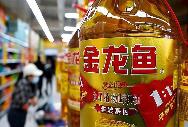 過(guò)背金龍魚(yú)的市場(chǎng)亂象有哪些？
