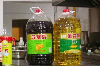 金龍魚60厘米需要多少年才能長大：關于金龍魚的生長速度和成年體型受到多種因素影響的信息 金龍魚60厘米需要多少年才能長大：關于金龍魚的生長速度和成年體型受到多種因素影響的信息 龍魚百科 第5張