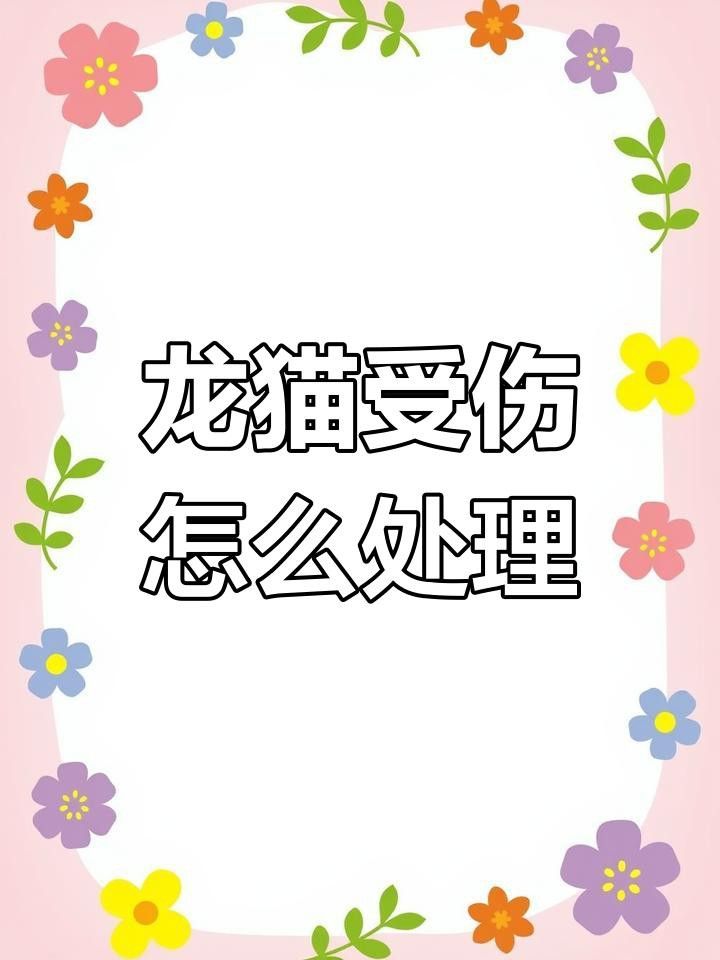 被龍貓咬傷后需要打破傷風嗎？