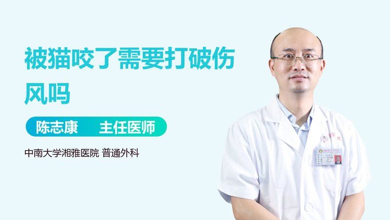 被龍貓咬傷后需要打破傷風嗎？