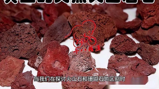 龍魚缸過濾系統要放珊瑚沙嗎 龍魚缸過濾系統要放珊瑚沙嗎 龍魚百科 第7張