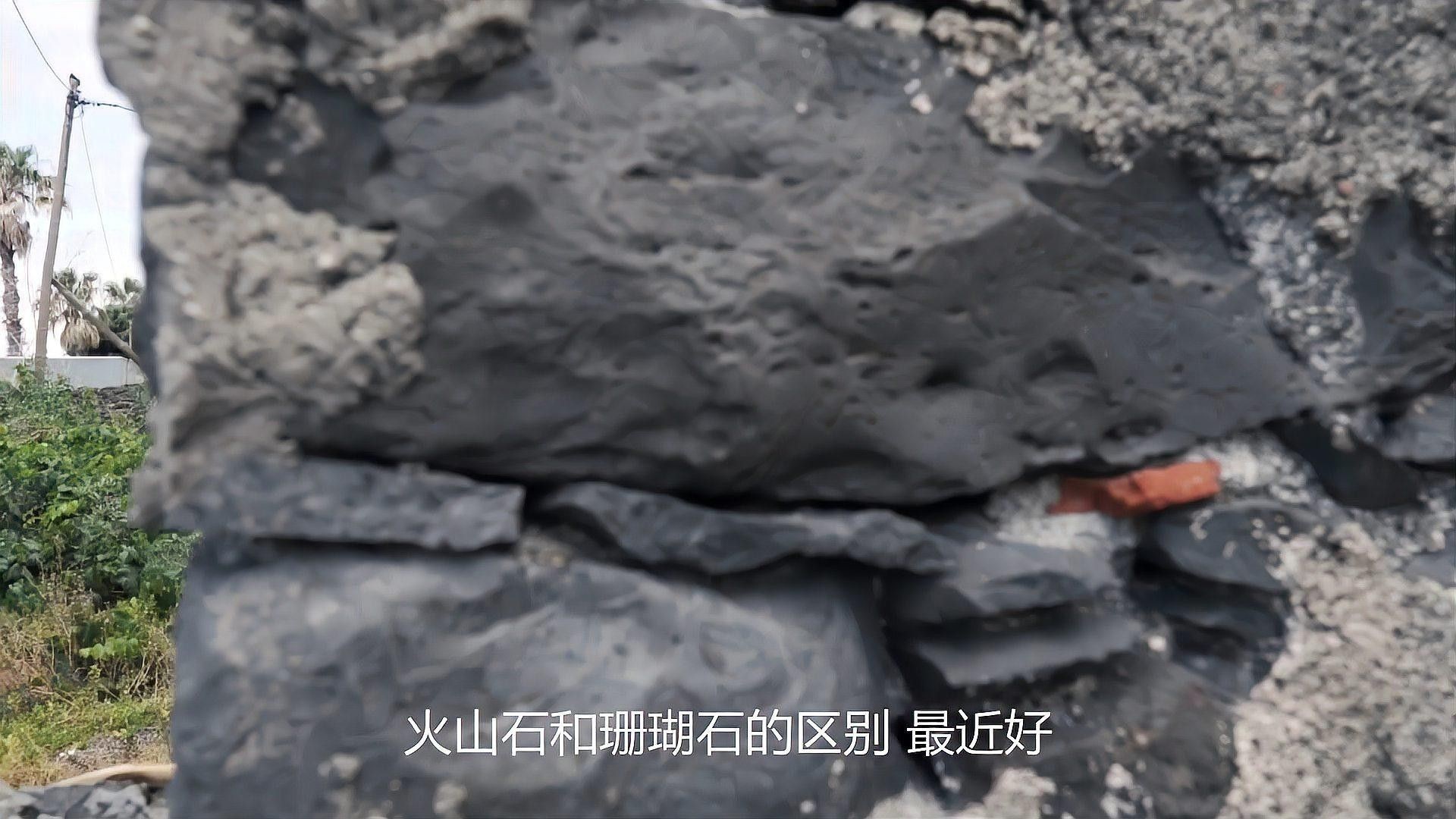 龍魚缸過濾系統要放珊瑚沙嗎 龍魚缸過濾系統要放珊瑚沙嗎 龍魚百科 第6張