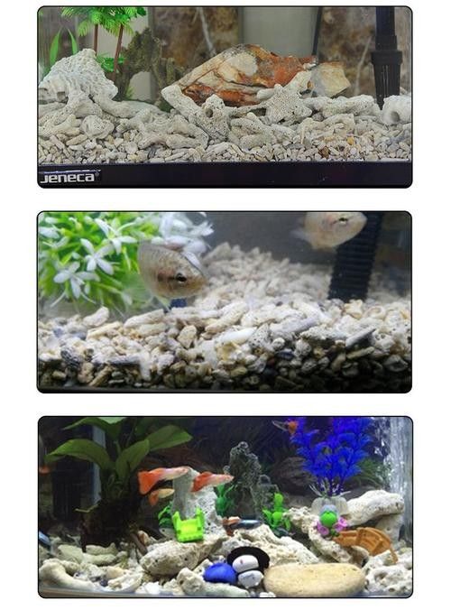 龍魚缸過濾系統要放珊瑚沙嗎 龍魚百科 第3張 龍魚缸過濾系統要放珊瑚沙嗎 龍魚缸過濾系統要放珊瑚沙嗎 龍魚百科 第3張
