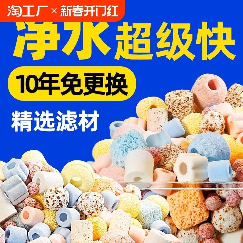 龍魚缸過濾系統要放珊瑚沙嗎 龍魚缸過濾系統要放珊瑚沙嗎 龍魚百科 第13張