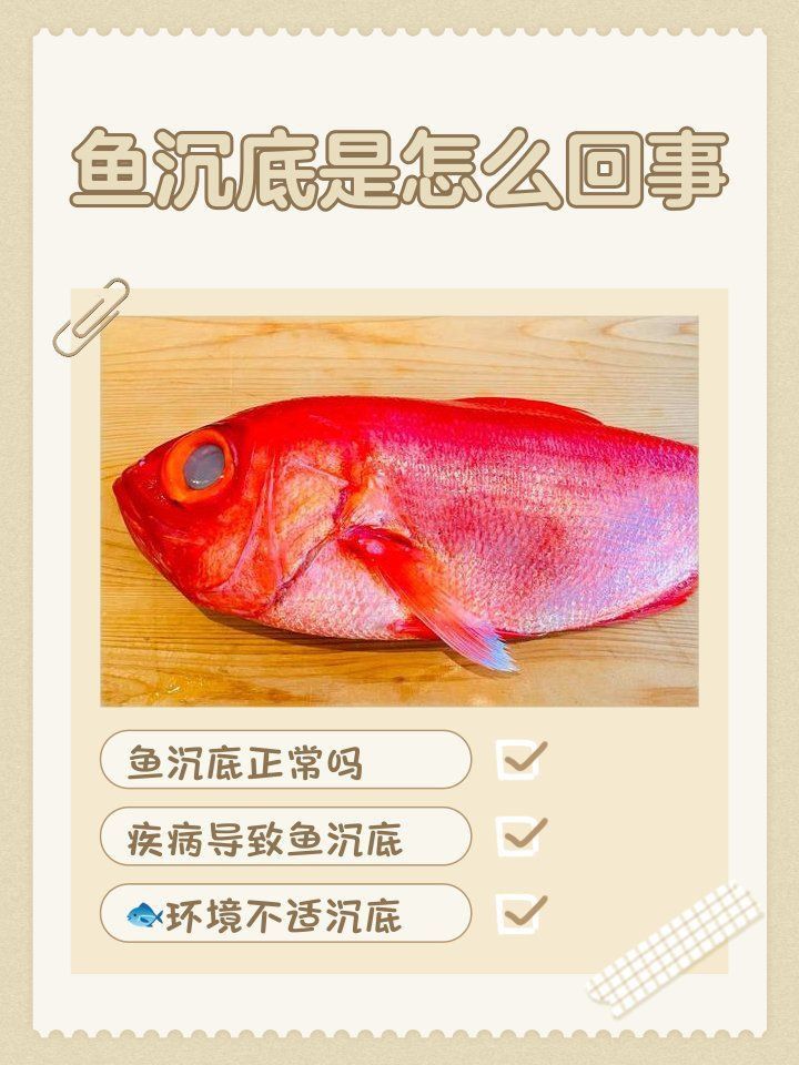 金龍魚沉缸底怎么回事