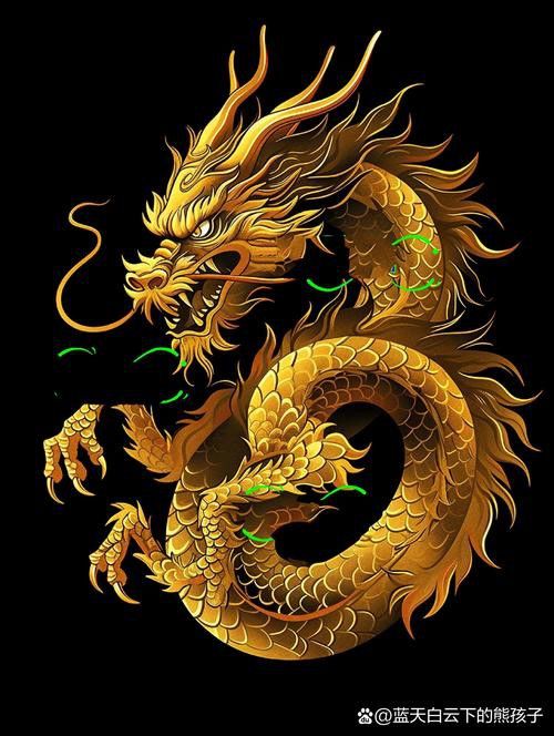 如何找到高清的金龍圖片？