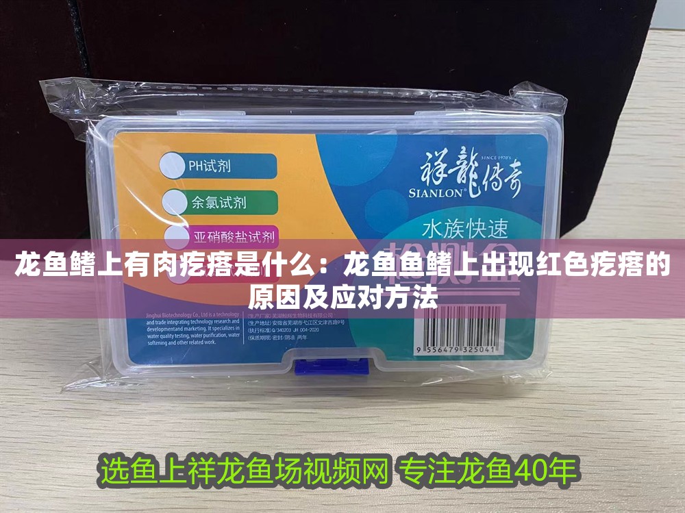龍魚鰭上有肉疙瘩是什么：龍魚魚鰭上出現紅色疙瘩的原因及應對方法