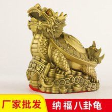 如何在阿里巴巴找到高清龍龜圖片？