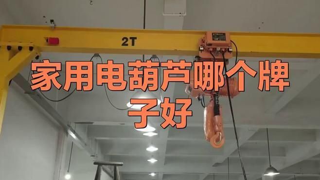 口碑最好的三款電葫蘆 口碑最好的三款電葫蘆 龍魚百科 第2張