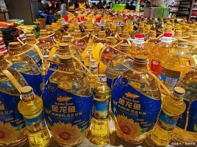 金龍魚品牌在中國市場的影響力不容小覷：金龍魚品牌在1991年進入中國市場 金龍魚品牌在中國市場的影響力不容小覷：金龍魚品牌在1991年進入中國市場 龍魚百科 第3張