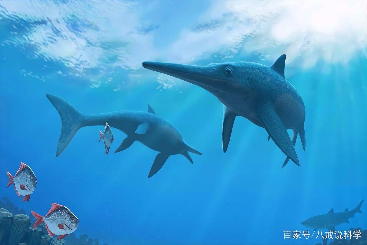 魚龍化石的完整骨架非常稀有