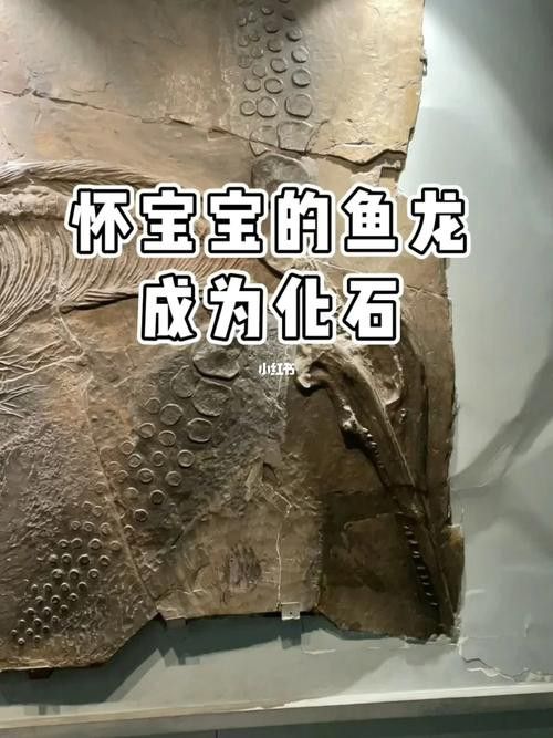 貴州龍魚化石圖片