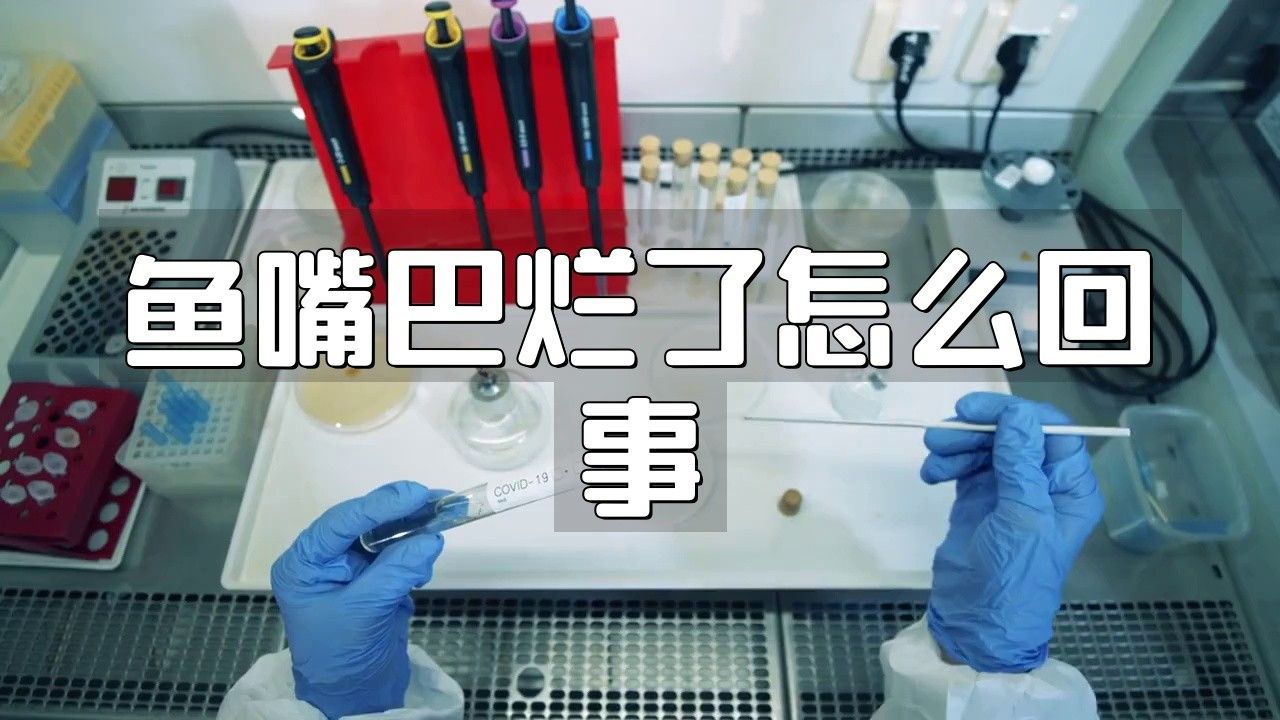 龍魚爛嘴病有哪些常見原因？