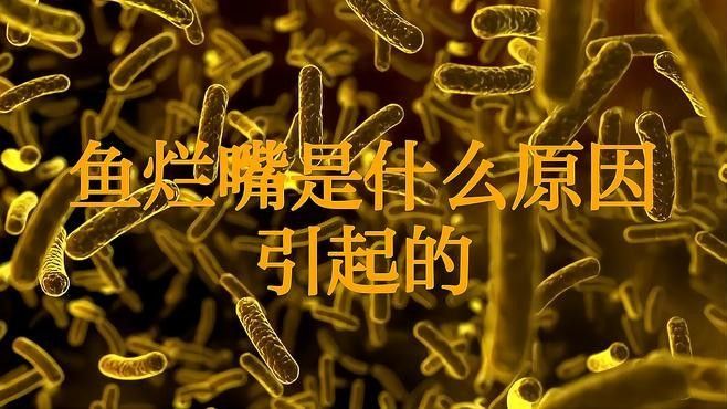 龍魚爛嘴病有哪些常見原因？