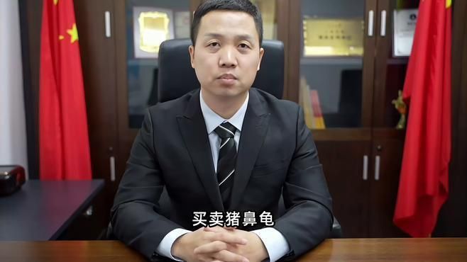買豬鼻龜的10大忠告