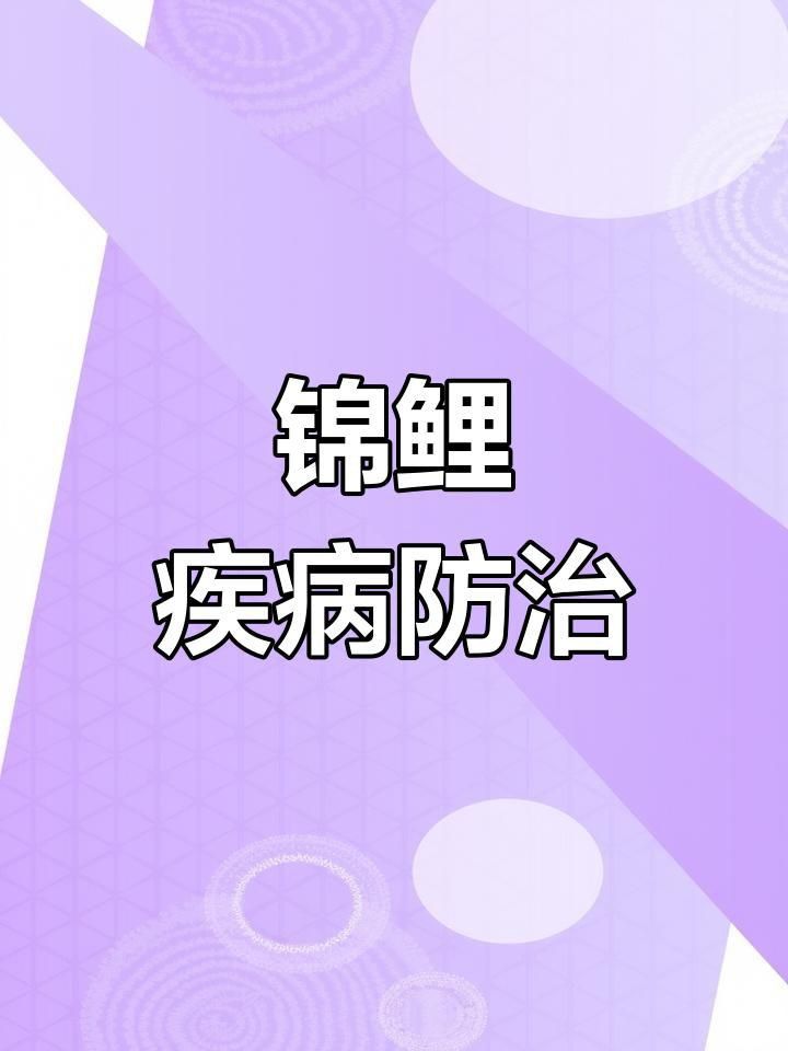 錦鯉炸鱗病有哪些癥狀 錦鯉炸鱗病有哪些癥狀 龍魚百科 第3張