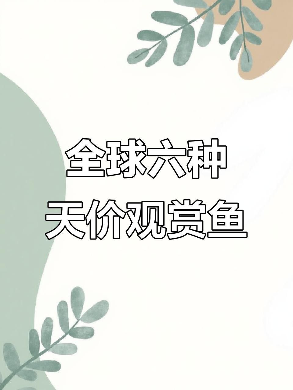 這些觀賞魚的價格是多少？ 這些觀賞魚的價格是多少？ 龍魚百科 第2張