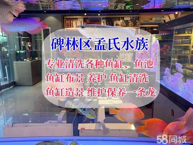 西安魚缸定做祥龍魚場電話
