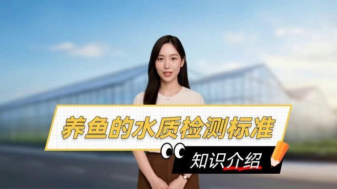 如何檢測龍魚的水質(zhì)參數(shù)？