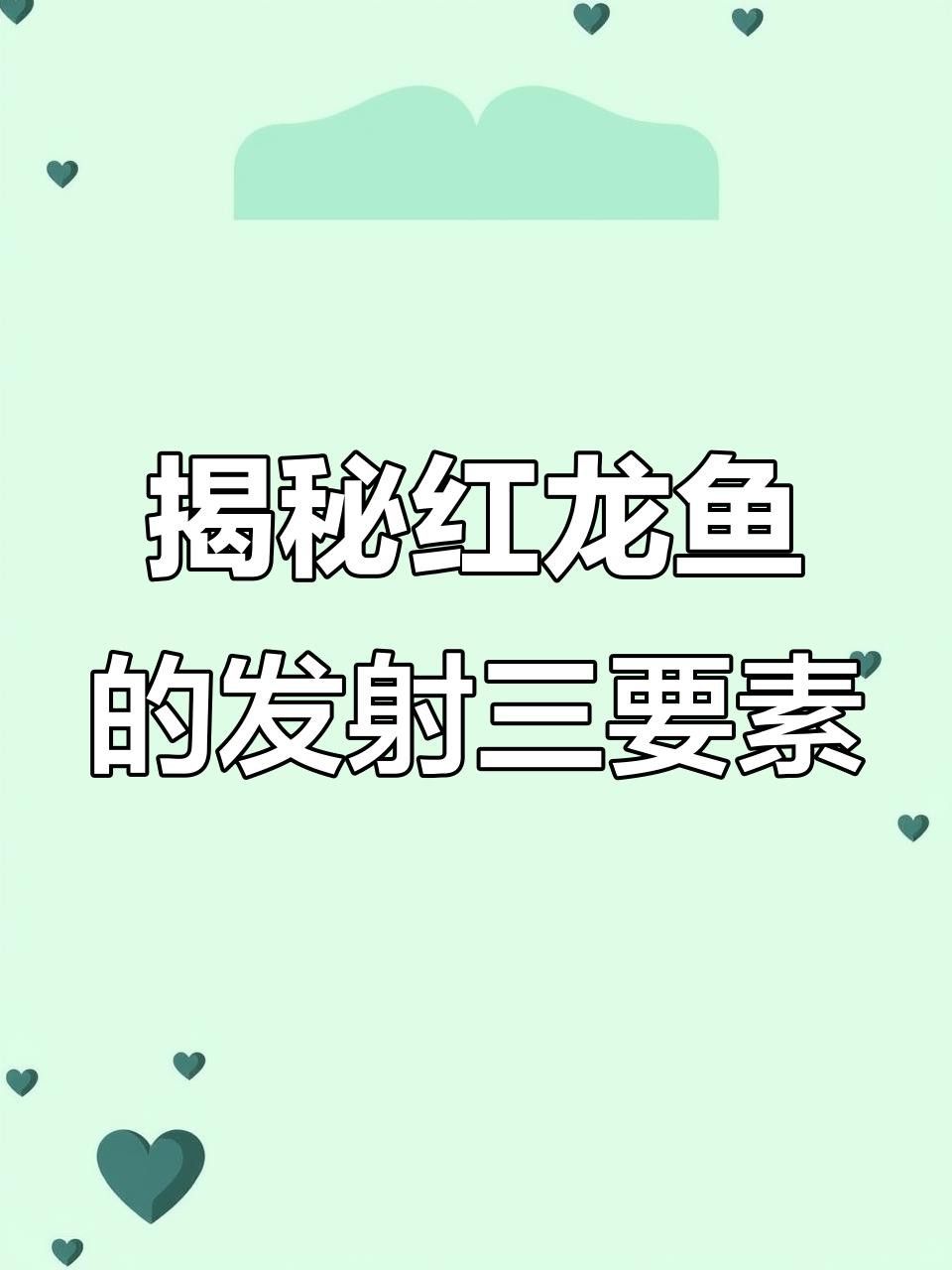 紅龍魚發色期間如何調整水質 紅龍魚發色期間如何調整水質 龍魚百科 第3張