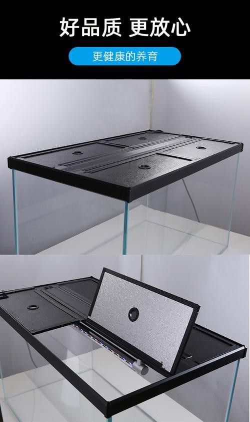 金頭龍魚缸需要哪些配件？