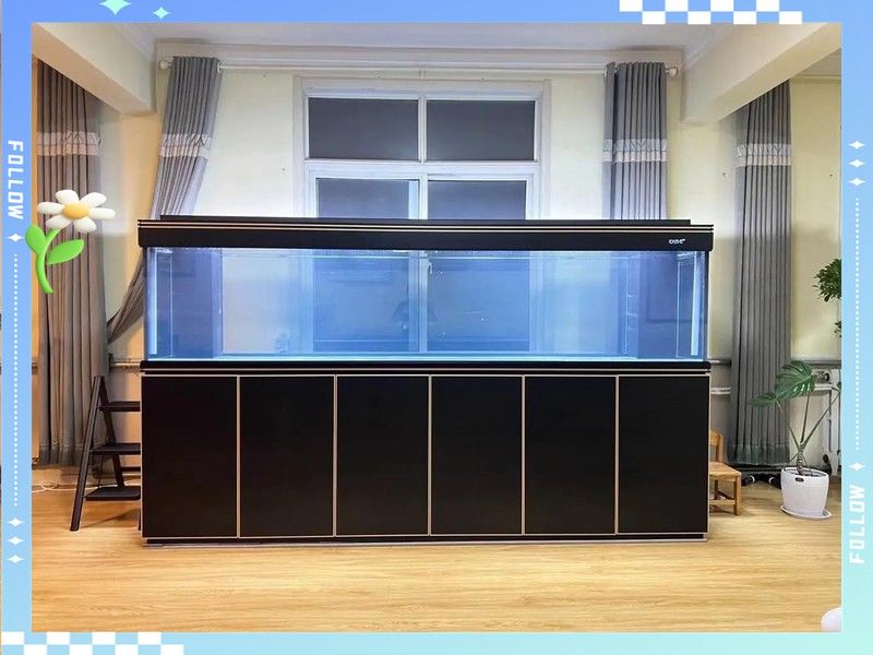 金頭龍魚缸需要哪些配件？