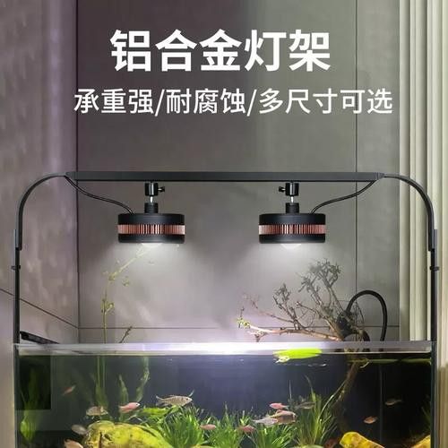 金頭龍魚缸需要哪些配件？