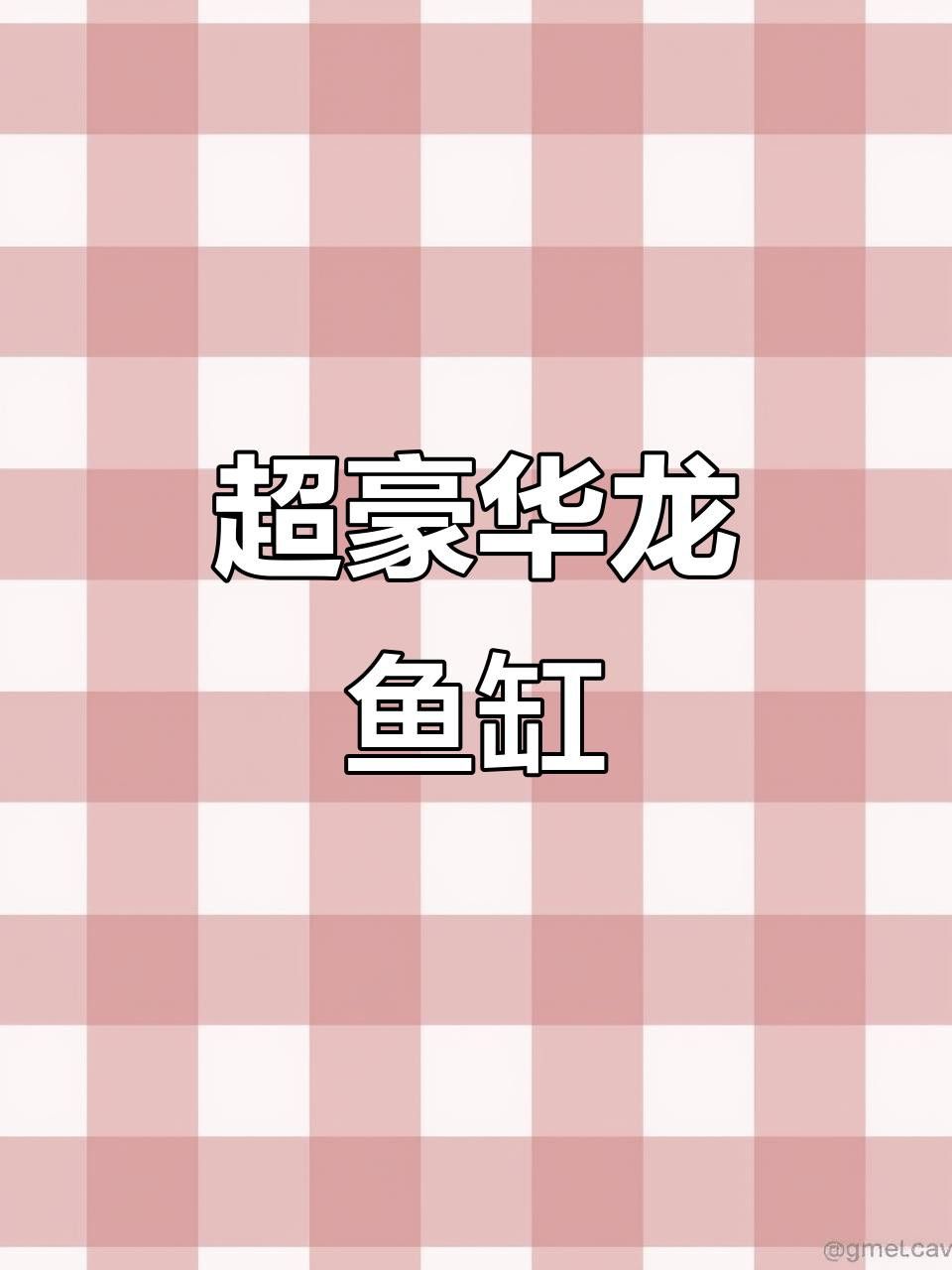 金頭龍魚缸需要哪些配件？