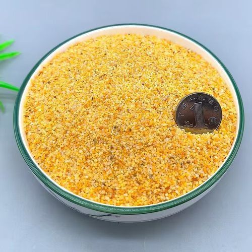 金頭龍魚缸需要哪些配件？