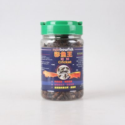 龍魚的飼養與鑒賞：龍魚常用藥物有哪些