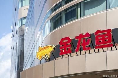 金龍魚背后資本是誰：揭秘“金龍魚”背后的資本股權