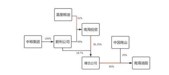 金龍魚背后資本是誰：揭秘“金龍魚”背后的資本股權