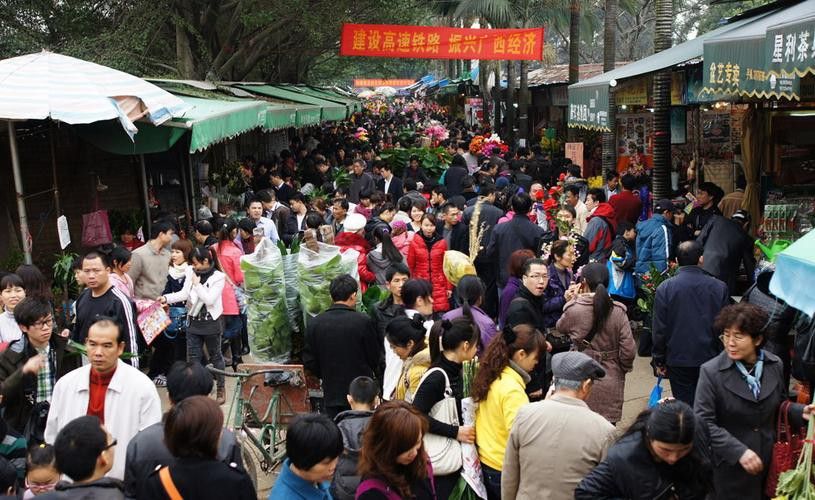 南寧龍魚批發市場