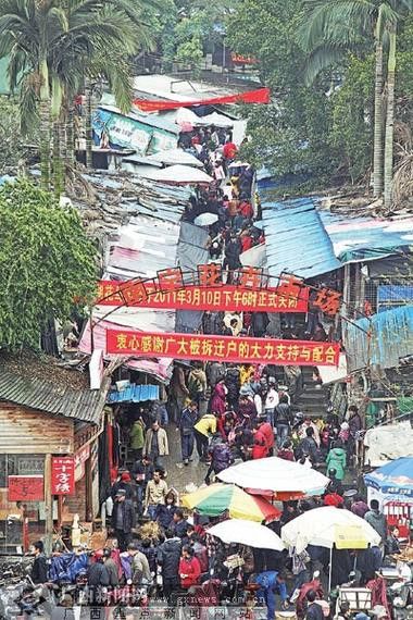 南寧龍魚批發市場