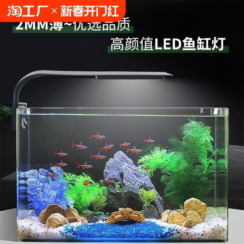金龍魚專用燈可以用來植物光合作用嗎 金龍魚專用燈可以用來植物光合作用嗎 龍魚百科 第6張