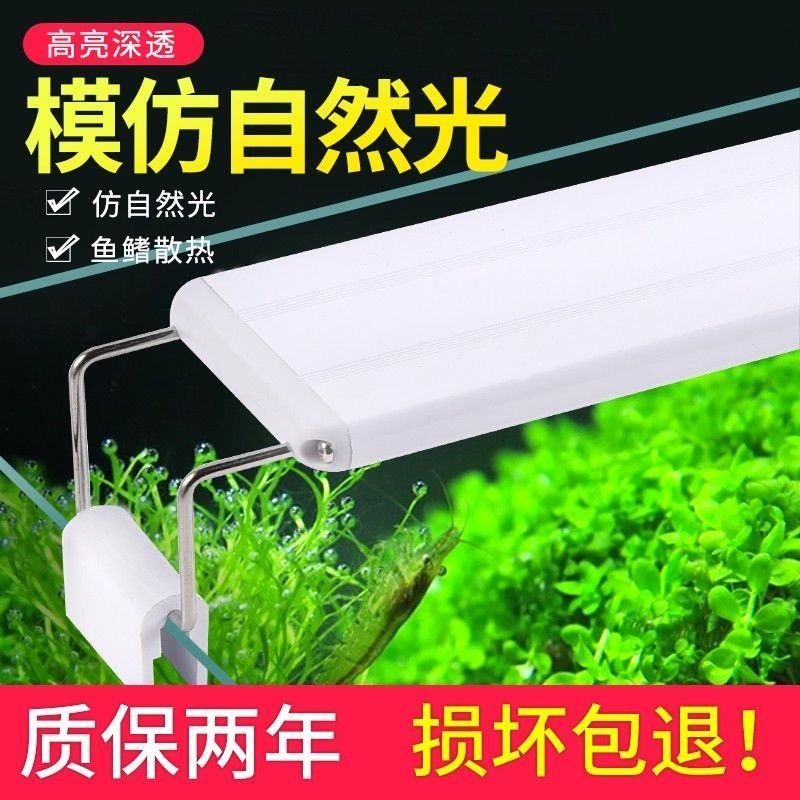 金龍魚專用燈可以用來植物光合作用嗎 金龍魚專用燈可以用來植物光合作用嗎 龍魚百科 第5張