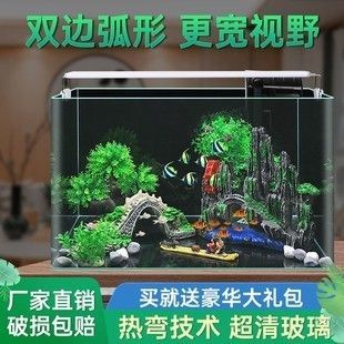 六角恐龍魚專用缸買什么（六角恐龍魚專用缸如何選擇） 六角恐龍魚專用缸買什么（六角恐龍魚專用缸如何選擇） 龍魚百科 第2張